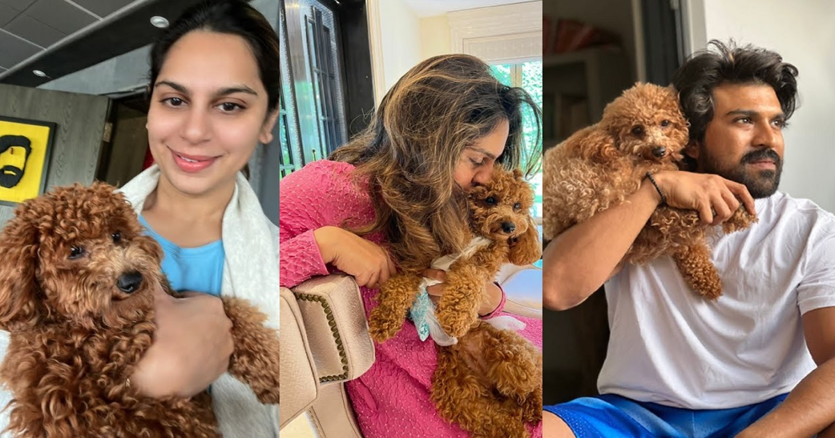 ram-charan-upasana-pet-dog