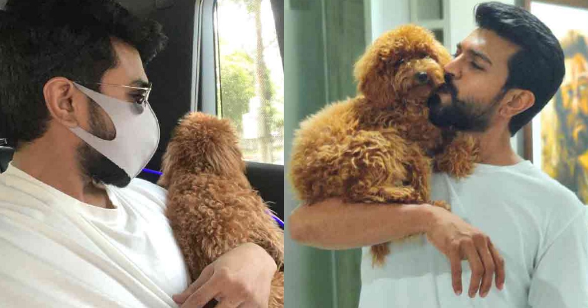 ram-charan-with-his-dog