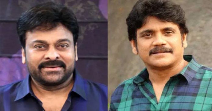 fight-between-chiranjeevi-and-nagarjuna-because-of-that-heroine