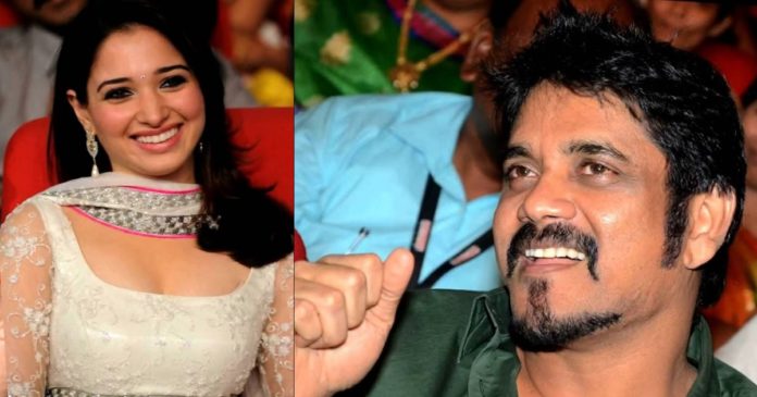 nagarjuna-wantedly-ruined-Tamannaah-Bhatia-marriage