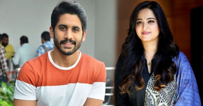 naga-chaitanya-and-anushka-shetty-marriage-got-cancelled-because-of-this-reason