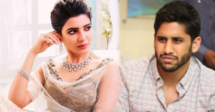 naga-chaitanya-treated-samantha-as-a-dog-is-that-the-reason-behind-their-divorce