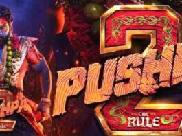 pushpa-2-cinema-unit-is-planning-surprise-for-fans